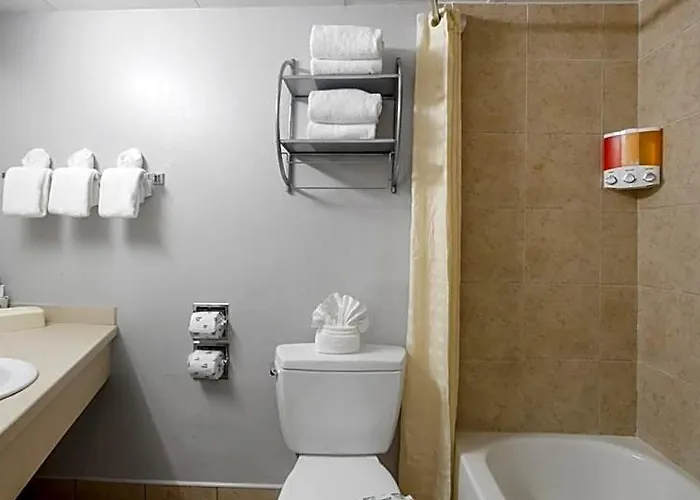 Pelican Pointe Clearwater Motel